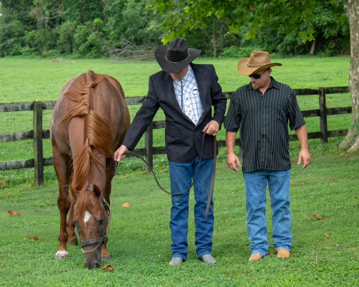 My Images 004